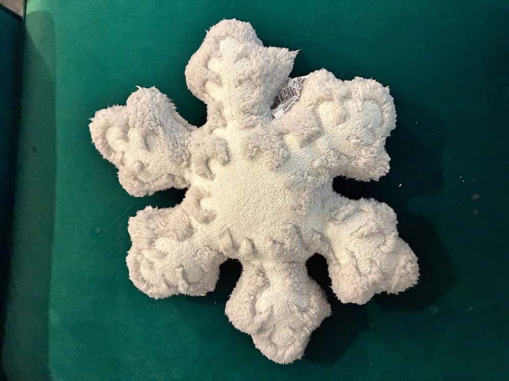 Wondershop Christmas Snowflake Throw Pillow White